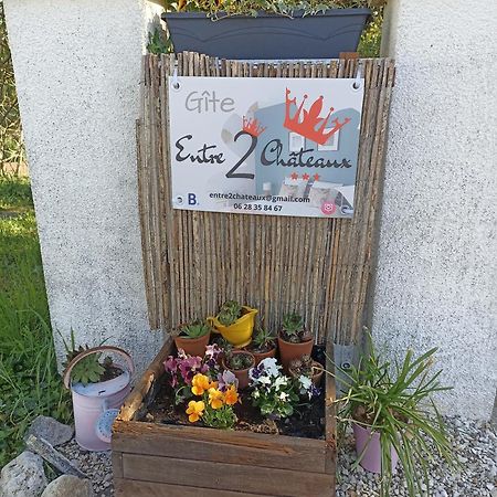 Entre 2 Chateaux Onzain Exterior foto